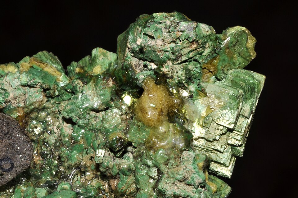 Emerald green Torbernite crystals, a radioactive copper-uranium mineral.
