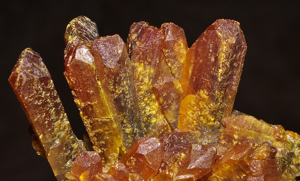 Bright yellow Orpiment crystals, known as "yellow arsenic."